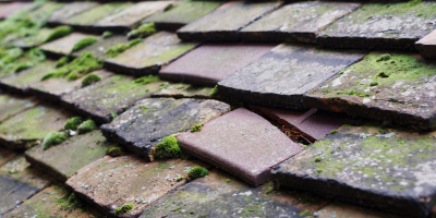 Batch roof repair costs